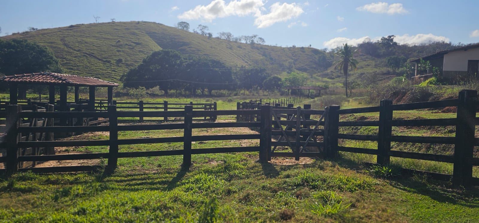 Curral de régua